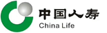 中国人寿：全行级报表系统